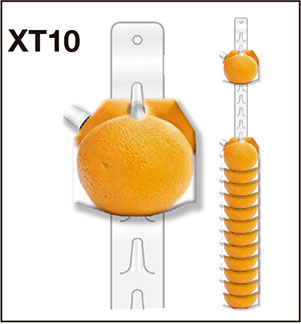 XT10 Tira exhibidora PVC 21 ganchos 3 x 66 cm